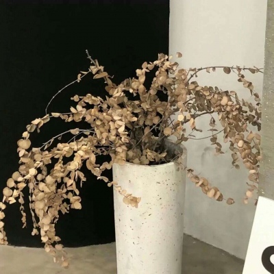 Furry黑白线稿绘画教程Furry群